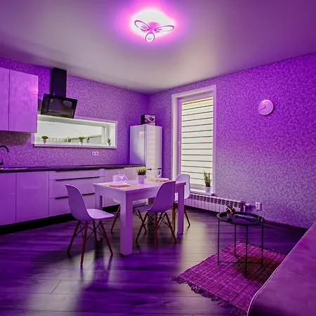 Roomer 31/2 Apartment *